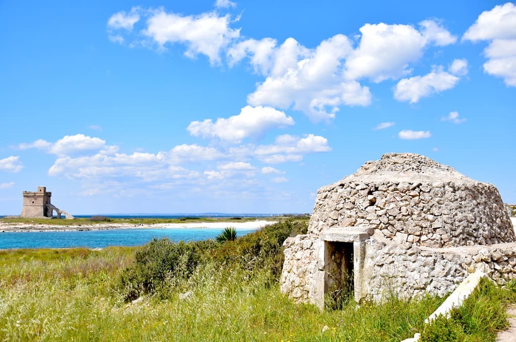 la-dolce-vigna-wine-tour-co-img02