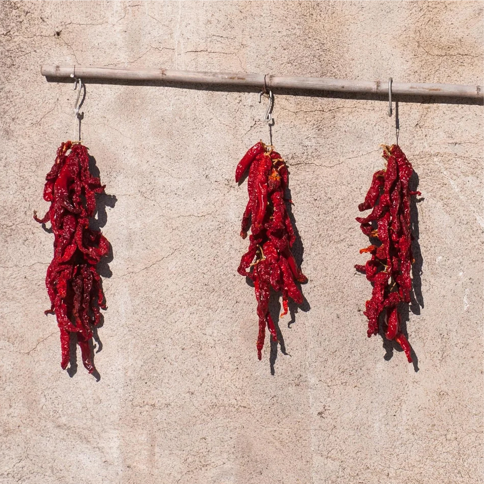 la-dolce-vigna-tour-wine-and-culture-calabria-11