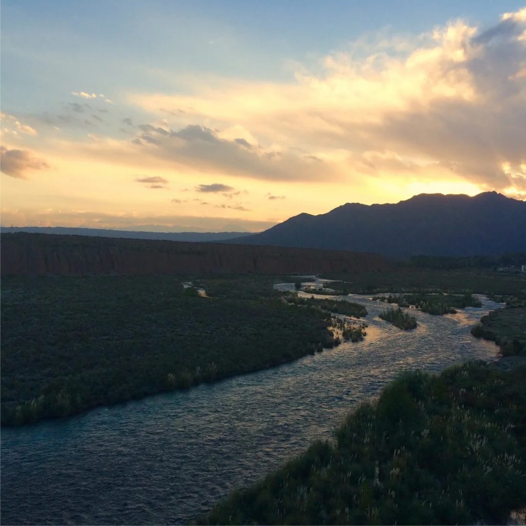 la-dolce-vigna-tour-wine-and-culture-mendoza-argentina-12