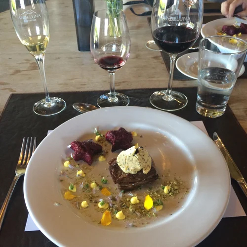 la-dolce-vigna-tour-wine-and-culture-mendoza-argentina-17