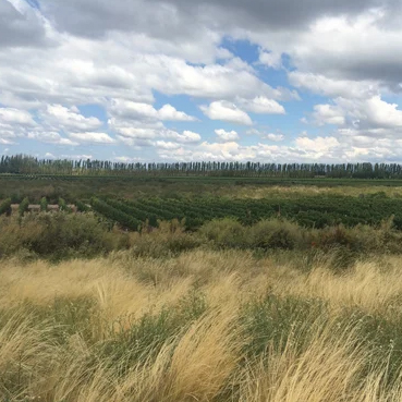 la-dolce-vigna-tour-wine-and-culture-mendoza-argentina-18