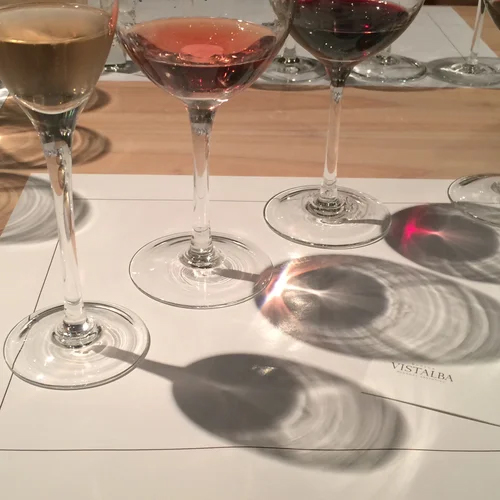 la-dolce-vigna-tour-wine-and-culture-mendoza-argentina-19