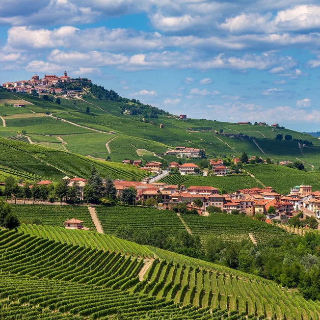 la-dolce-vigna-tour-wine-and-culture-piedmont-italy-04