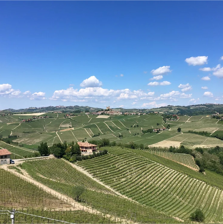 la-dolce-vigna-tour-wine-and-culture-piedmont-italy-19