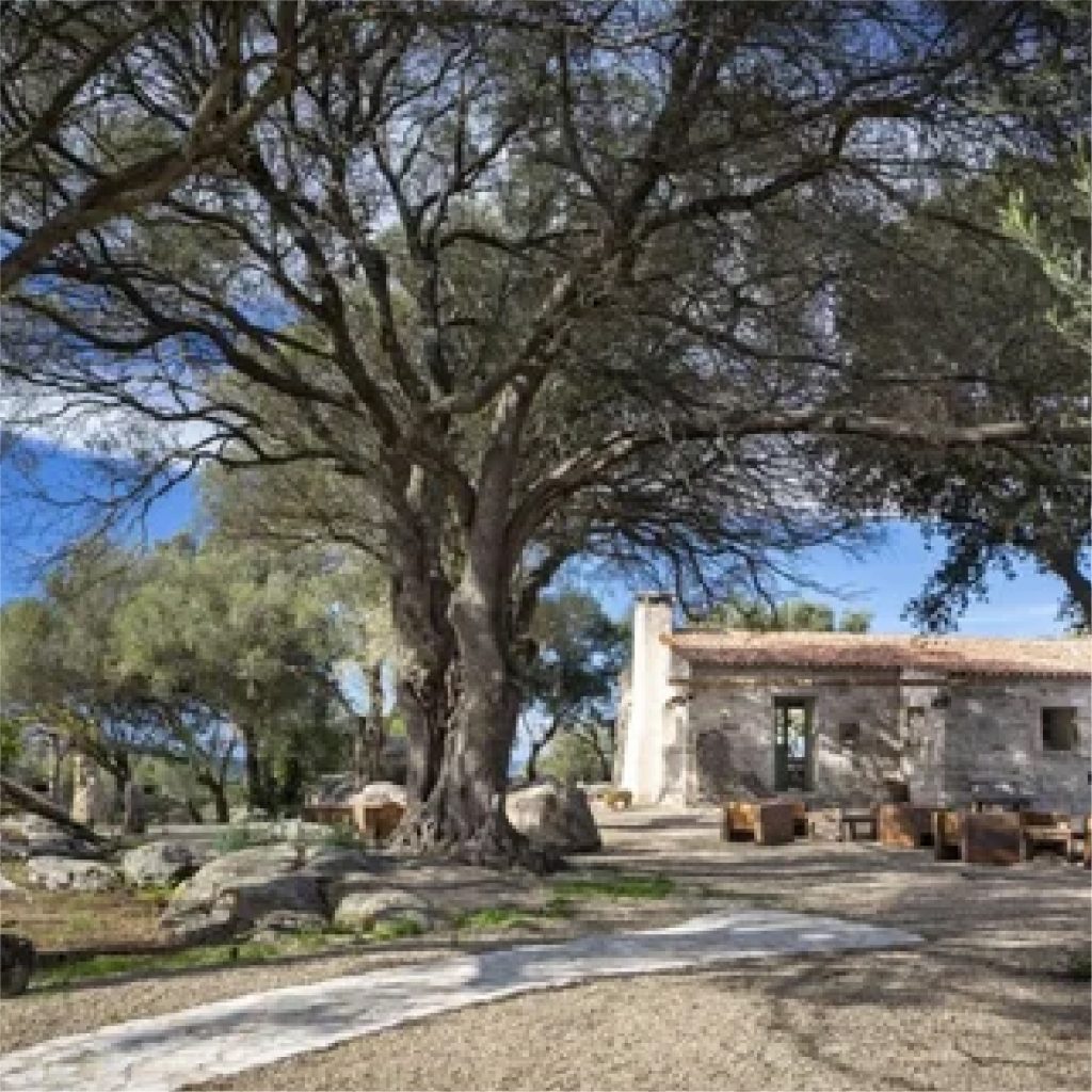 la-dolce-vigna-tour-wine-and-culture-sardinia-italy-3