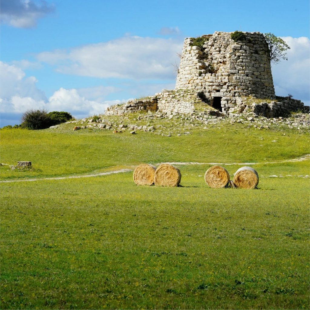 la-dolce-vigna-tour-wine-and-culture-sardinia-italy-7