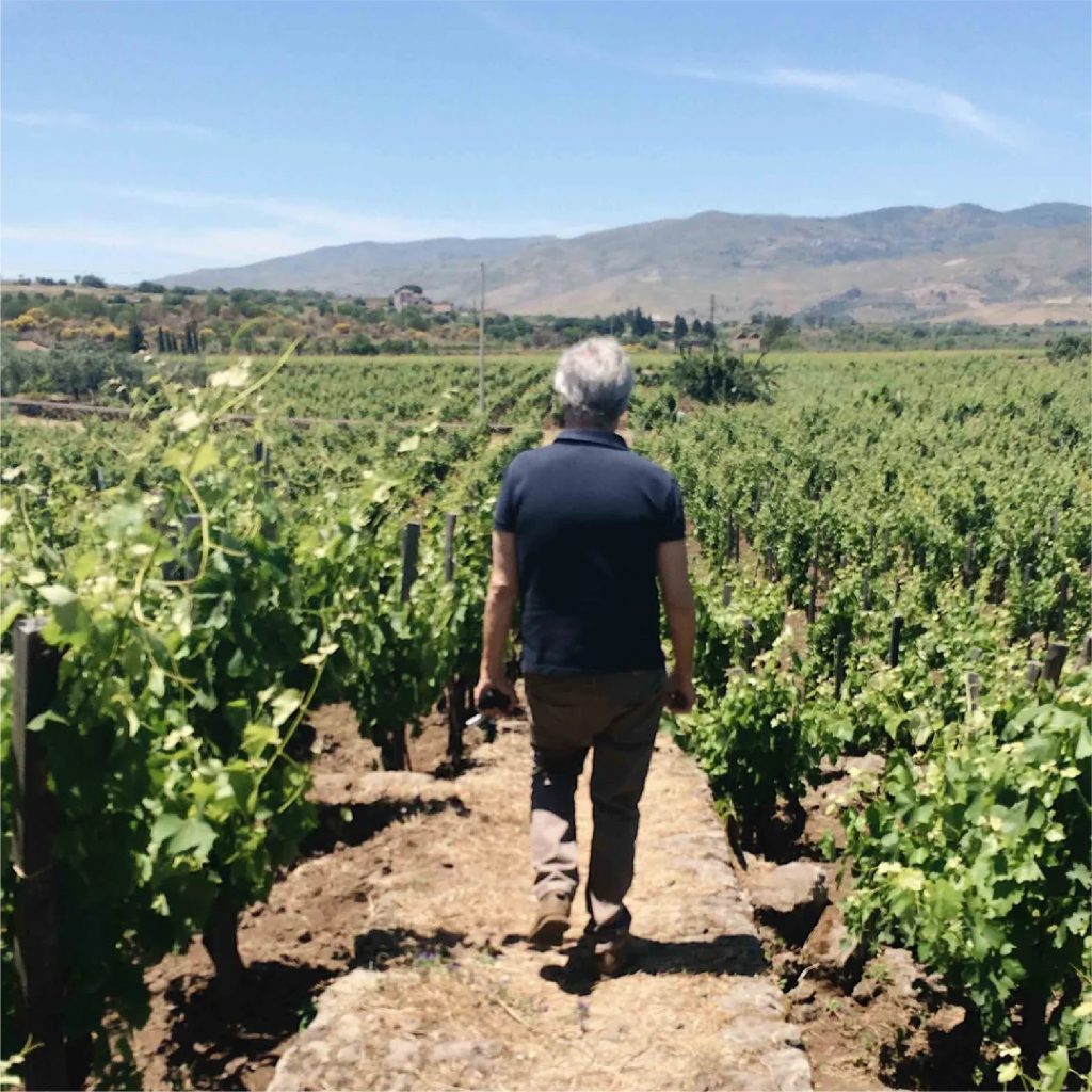 la-dolce-vigna-tour-wine-and-culture-sicilia-italy-18