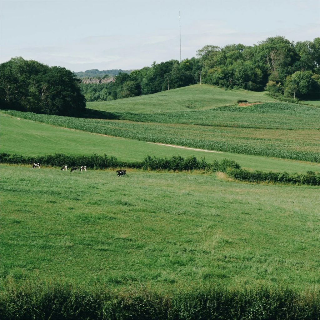 la-dolce-vigna-tour-wine-and-culture-somerset-england-4