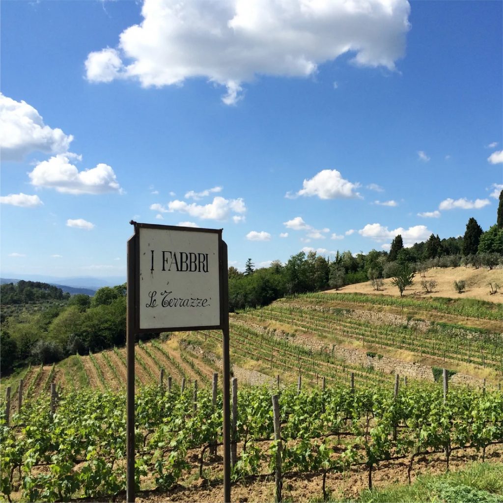 la-dolce-vigna-tour-wine-and-culture-toscana-italy-09