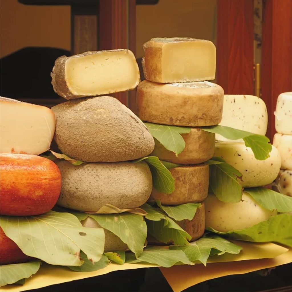 la-dolce-vigna-tour-wine-and-culture-toscana-italy-12