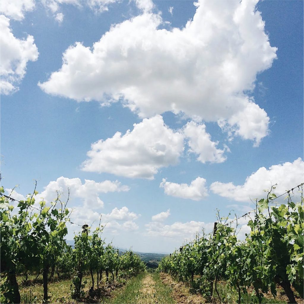 la-dolce-vigna-tour-wine-and-culture-toscana-italy-16