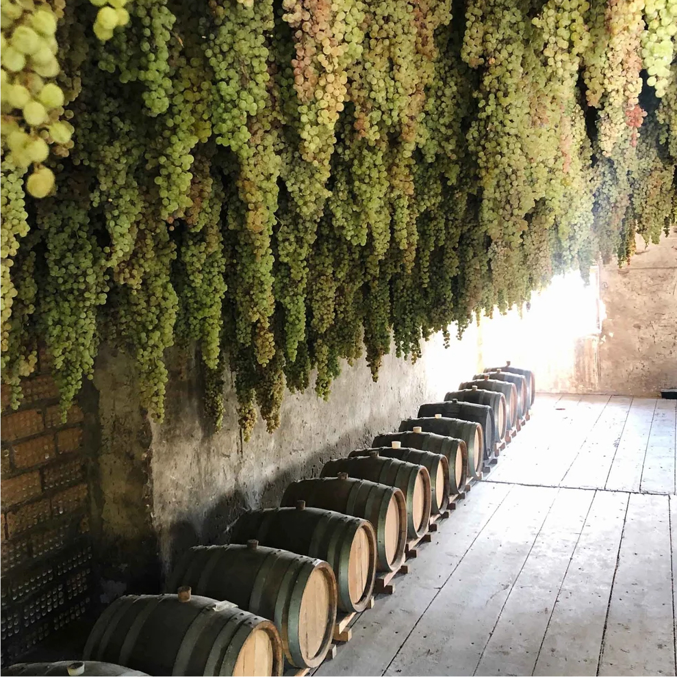 la-dolce-vigna-tour-wine-and-culture-veneto-08